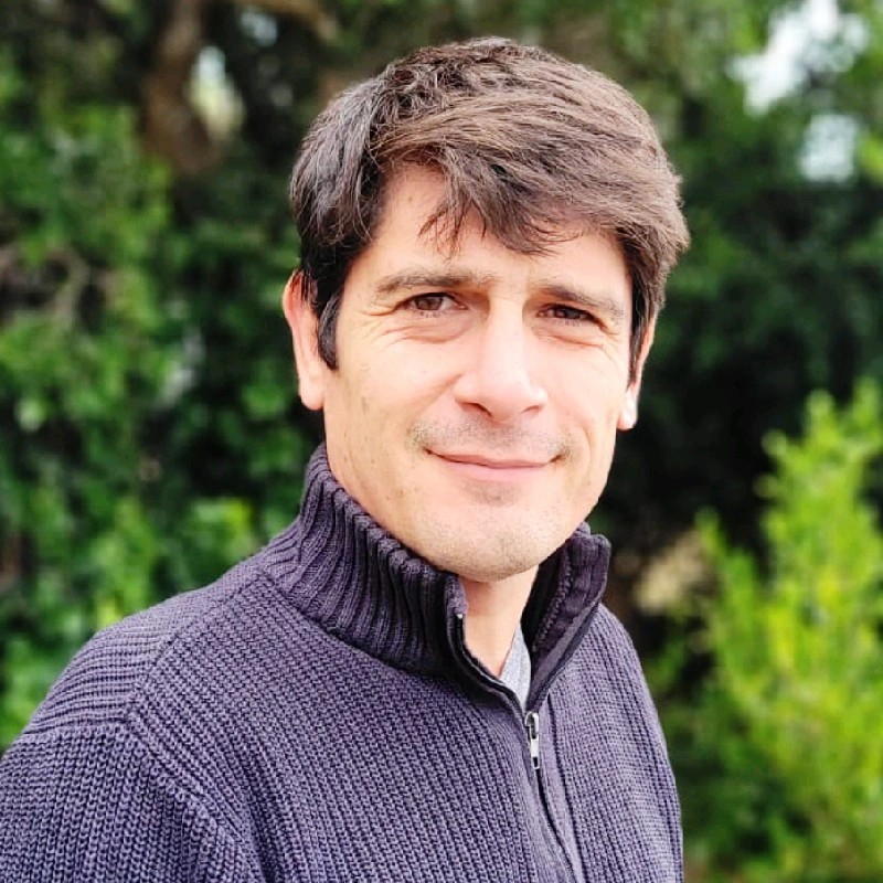 César